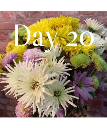 Flower Boosters Cut Flower Food for Fresher Vase Life Up to 20 Days or More (12.5 Ounces) - Buy Online on GoSupps.com