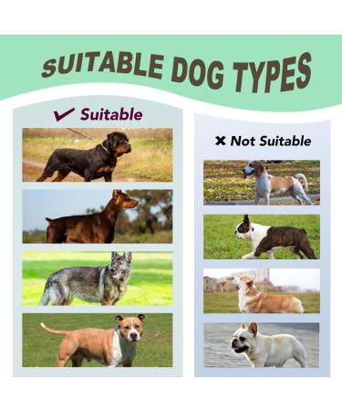 Tspro Tactical Dog Harness with Handle - Military Quality 3.3cm Wide Thick Padded Quick-Release Snap - Ideal for Small Dogs (14-23 kg) - Blue - Buy Online on GoSupps.com