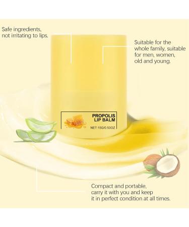 Honey Moisturizing Lip Balm - Lip Balms - Lip Care Lip Repair - Hydrating Lip Balm - Lip Moisturizer- Honey Lip Mask for Dry Lips - Reduces Dead Skin and Cracks - Buy Online on GoSupps.com