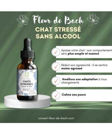 Bach Flower Advice - Bach Flowers Stressed Cat without Alcohol - A Blend That Will Help Your Cat Calm Down (30 ML) Pack of 2 - Buy Online on GoSupps.com