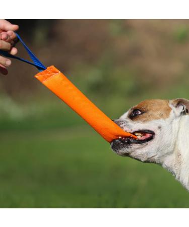Buy Bull Fit Dog Toy - 30 cm Durable Fire Hose K9 Training Tug with Hand Loop - Robust Handmade Orange Dog Toy for Taming and Play - Buy Online on GoSupps.com