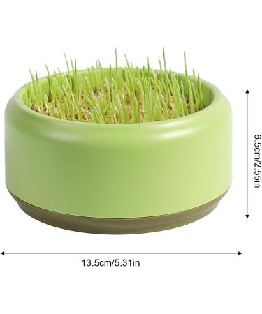 Firulab Cat Grass Growing Kit Cat Grass Bowl Planter Tray Catnip and Bowl Cat Grass Kit with Seeds DIY Soil Free Kitten Grass Growing Kit for Cat Snacks Green - Buy Online on GoSupps.com