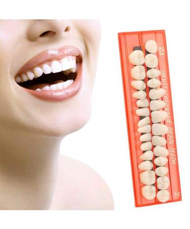 KEDEJIN 28pcs Resin Tooth Model Ergonomic Design Durable Dentures Universal Resi False Teeth