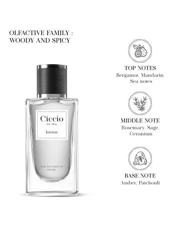 C_iccio Intense Premium Long Lasting Luxury Fragrance Eau De Perfume Spray For Men_Woody and Spicy_100 ML - Buy Online on GoSupps.com