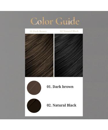 Vinne 2-Color Hair Cushion Stick - Waterproof Gray Cover Long-Lasting Root Filler & Nutrient-Rich Care (Natural Black Dark Brown) 0.04 oz - Buy Online Internationally - Buy Online on GoSupps.com