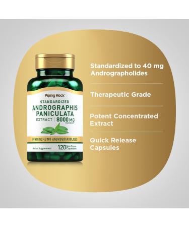 Piping Rock Andrographis Paniculata Extract | 120 Capsules | Standardized Herbal Supplement | Non-GMO Gluten Free - Buy Online on GoSupps.com
