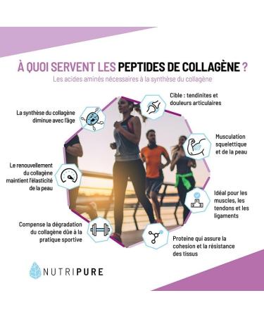 Nutripure | Pack Tendinites | Peptan B 2000 Daltons | Pour les personnes ayant des tendinites passag res ou chroniques | Pure Glycine | Active Curcumine | Made in France - Buy Online on GoSupps.com
