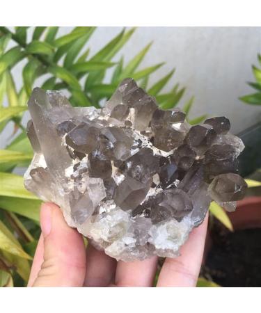 Natural Smoky Quartz Crystal Cluster Rock Stone and Crystal Beautiful Crystal Crystal Cluster - Buy Online on GoSupps.com