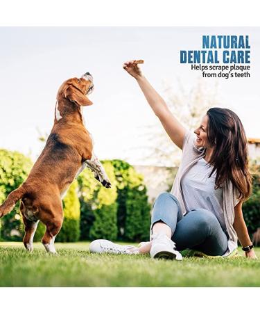 Himalayan Dog Chew Large 3 Pack | Natural Yak Cheese Bones for Dogs | Odorless & Safe Alternative to Regular Bones | Premium Paws 3 Count - Buy Online on GoSupps.com