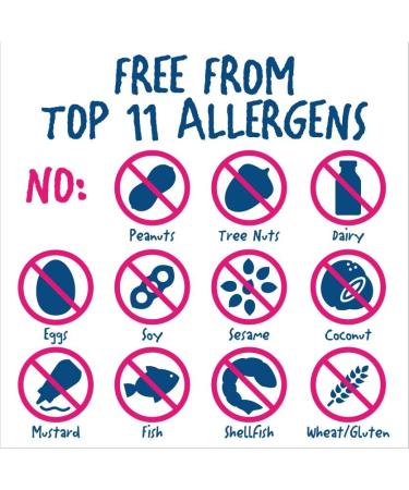 Rule Breaker Snacks Birthday Cake Blondie | Vegan Gluten-Free Nut-Free | Pack of 12 1.9 oz Bars | Top 11 Allergen-Free | Ideal for School & Office - Buy Online on GoSupps.com