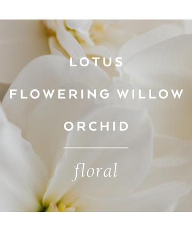 LOLLIA Imagine Dry Body Oil 6.8 Fl. Oz. Flowering Willow & Lotus Women s Scented Moisturizing Dry Body Oil for Women For All Skin Types - Buy Online on GoSupps.com