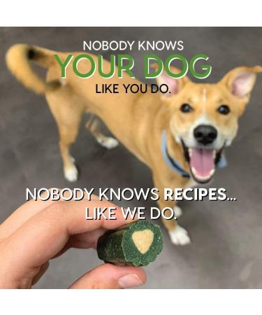 Large Breed 54oz Brushless Toothpaste - Effective Dental Care for Dogs | Pack of 1 - Buy Online on GoSupps.com