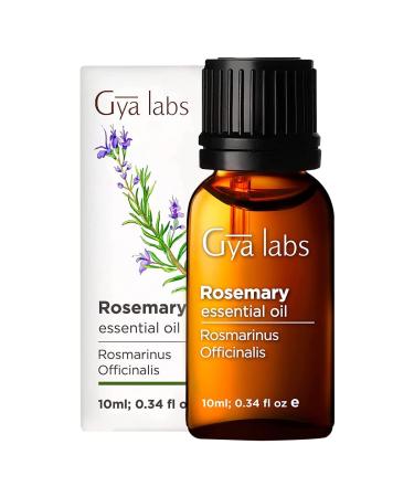 Gya Labs Pure Rosemary Oil for Hair Growth & Dry Scalp (0.34 fl oz) - 100% Therapeutic Grade Undiluted Rosemary Essential Oils for Hair Growth, Hair Loss, Skin & Diffuser Rosemary 0.34 Fl Oz (Pack of 1)