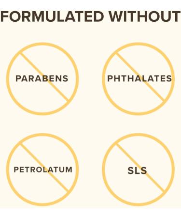 Burt's Bees 100% Natural Moisturizing Lip Balm Beeswax - 2 Tubes 2 Count Value Pack - Buy Online on GoSupps.com