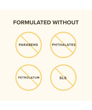 Buy Burt's Bees Beeswax Lip Balm 4.25g - Natural Honey Flavor - Moisturizing Lip Care - Global Shipping - Buy Online on GoSupps.com