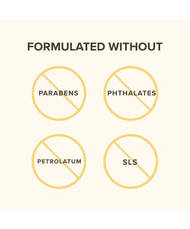 Burt's Bees Gifts 3 Skincare Products Sweet Like Honey Spring Set - Honey Lip Balm Milk and Honey Body Lotion & Honey Grapeseed Hand Cream - Buy Online on GoSupps.com