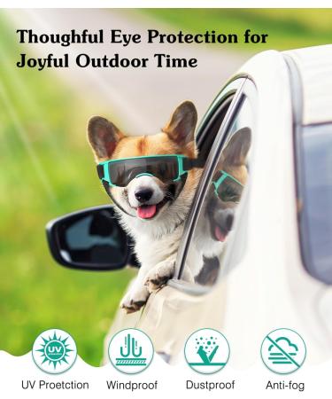 Lewondr Sunglasses for Dogs - UV Safety & Windproof Glasses with Adjustable Rubber Band | Waterproof Outdoor Dog Eyewear in Black & Blue - Buy Online on GoSupps.com