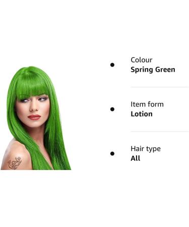 2 X La Riche Directions Semi-Permanent Hair Color 88ml Tubs - Spring Green | Vibrant Color in 88ml Tub - Buy Online on GoSupps.com