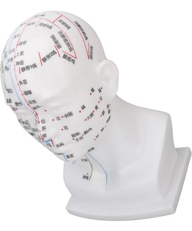 Acupuncture Point Head Model - 11.8 Inch PVC Facial Massage Meridians for Teaching & Learning - International Shipping Available - Buy Online on GoSupps.com