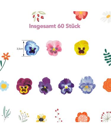 60 Edible Flower Pansies for Cake Decoration | Catelves | Perfect for Weddings & Celebrations - Buy Online on GoSupps.com
