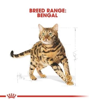 Royal Canin Bengal Cat Food 2 kg Variety 2 kg (Pack of 1) - Buy Online on GoSupps.com