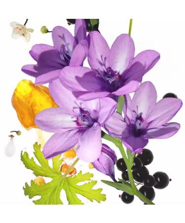 Koec Vanilla Coconut Perfume 50ml Body & Hair Fragrance Mist Women Men Eau De Toilette Spray Perfume Body Mist Spray Travel Size (Vanilla Coconut) (Moon Violet) - Buy Online on GoSupps.com