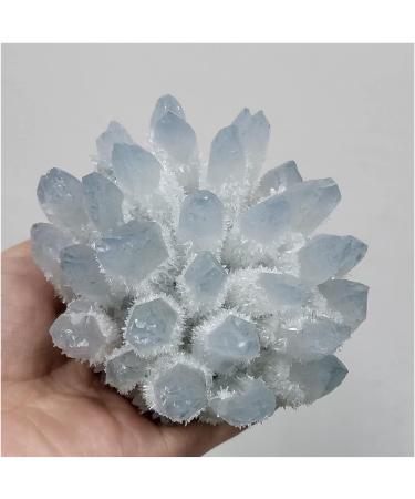Natural Blue Phantom Quartz Crystal Cluster Rock Stones Reiki Specimen Home Deco Crystal Cluster - Buy Online on GoSupps.com