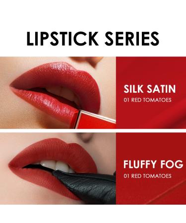 CARSLAN Dual Core Moisturizing Lipstick - Longlasting Hydrating Lip Color with Vitamin E and Olive Oil - 10 Agate Red - Buy Online on GoSupps.com