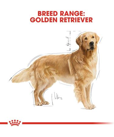 Royal Canin - 35251 - Golden Retriever Food - 12 kg - Buy Online on GoSupps.com