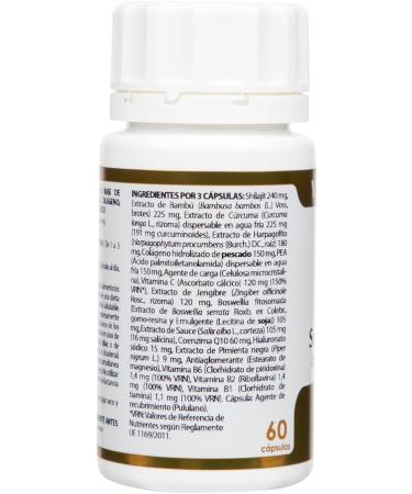  EQUISALUD Yoga Kalash Sthira-Sukham Equisalud 60 capsules - Buy Online on GoSupps.com