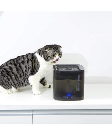 PETKIT Cat Water Fountain 63oz/1.85L - Quiet Hygienic Pet Water Dispenser for Cats & Small Dogs - Auto Power-Off, Filter & LED Light - Dual Working Mode - Black - Buy Online on GoSupps.com