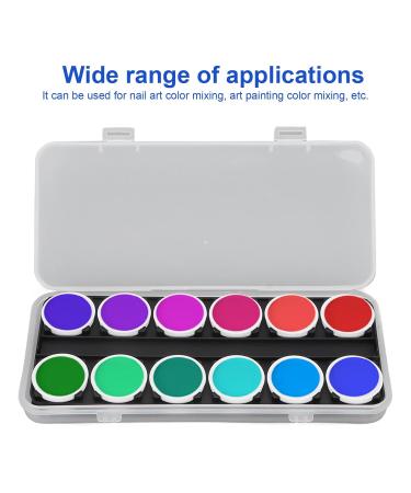 Nail Color Mixing Case with Removable Tray | Nail Art Palette Tool for Beginners & Home Use - Buy Online on GoSupps.com