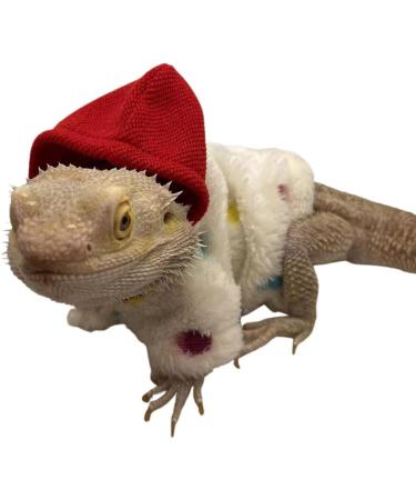 Bearded Dragon Clothes - Cotton Lizard Warm Coat Hoodies Jacket Reptile Clothes for Lizard Bearded Dragon Crested Chameleon Beige - Buy Online on GoSupps.com