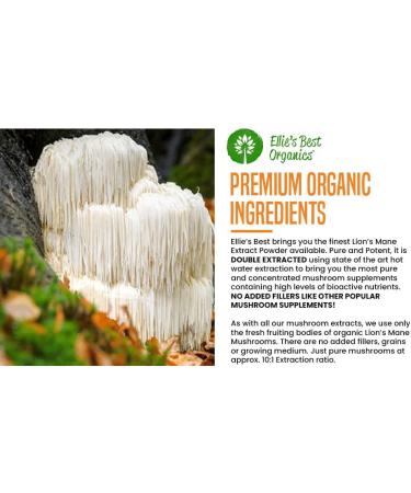 Ellie's Best Lions Mane Mushroom Extract Powder Supplement Organic 114 Servings - Double Extracted for Highest Potency - Dissolves in Coffee, Tea, Juice etc.4oz Lion's Mane 4 Ounce (Pack of 1) - Buy Online on GoSupps.com