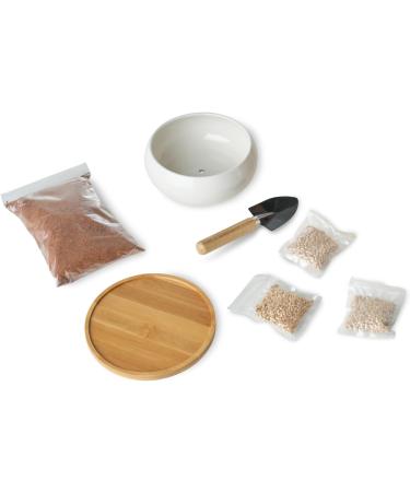 Pfotolymp Cat Grass Bowl Set - Ceramic Bowl Bamboo Coating Coconut Seeds & Tools for Healthy Cat Greens | International Shipping - Buy Online on GoSupps.com