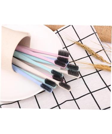 Partykindom 10-Pack Soft Charcoal Manual Toothbrushes - Eco-Friendly Compostable Bristles for Adults - Buy Online on GoSupps.com