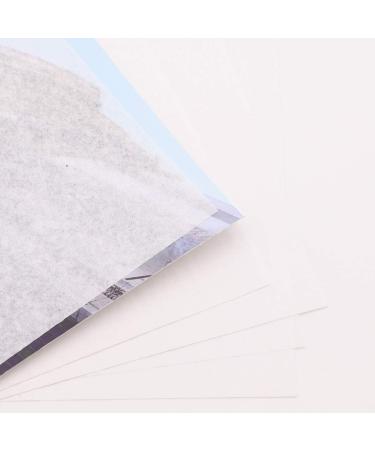 Lineco Buffered Acid-Free Interleaving Tissue 8.5x11 Pack of 100. Extends The Life of Paper Photographs Textiles and Artifacts. Use for Photographs Black & White Color Albumen Prints. Set of 1 (8.5x11) Translucen... - Buy Online on GoSupps.com