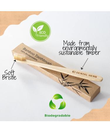 Dental Herb Company Essentials Toothpaste Traveler 12 Pack with Bamboo Toothbrush - Set of 12 - Buy Online on GoSupps.com