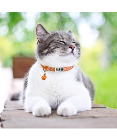 Tagme 2 Pack Cat Collar with Safety Clasp & Bell | Custom Name & Phone - Orange Standard Size 18-31 cm - Buy Online on GoSupps.com