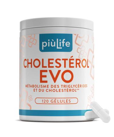 Cholesterol Pi Life Levure de Riz Rouge avec Berberis aristata Fenugrec Policosanol Coenzyme Q10 et Thiamine 2 G lules/Jour Compl ments base de plantes Lactose & Gluten Free 180 G lules 1 unit (Lot de 120)