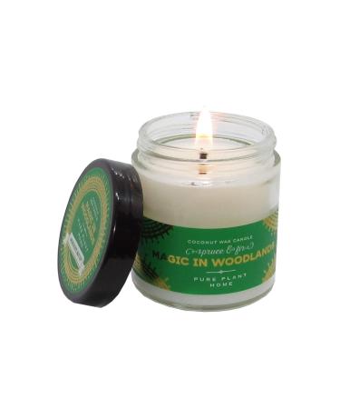 Holday Aromatherapy Candles (Spruce & Fir 3.1 ounce apothecary glass)