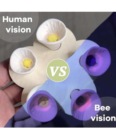 HPYSHP Bee Insect Drinking Cup Colorful Bee Insect Drinking Cup Bees Need Safe Places to Drink Thirsty Pollinators Need a Drink Resin Bee Cups for Thirsty Bees Garden (Purple One Size) Purple One size - Buy Online on GoSupps.com