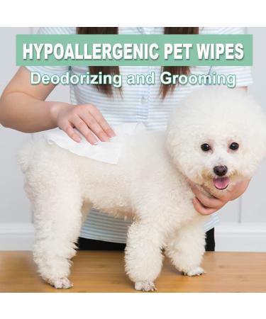 Air Jungles 100 Count Extra Large Pet Grooming Wipes for Dogs and Cats - Plant-Based & Hypoallergenic - Buy Online on GoSupps.com