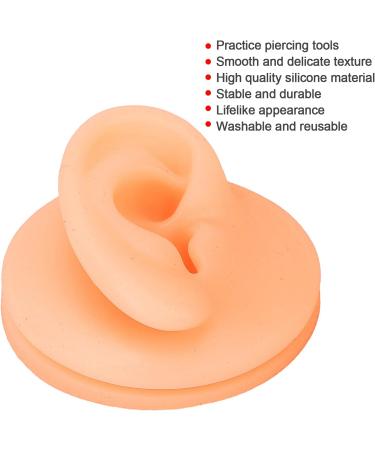 Silicone Artificial Ear Model for Acupuncture Practice | Reusable Right Ear Simulation Display - Buy Online on GoSupps.com