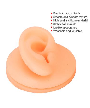Soft Silicone Ear Model for Exercise - Reusable Simulation Display for Right Ear | Perfect for Training & Demonstration - Buy Online on GoSupps.com