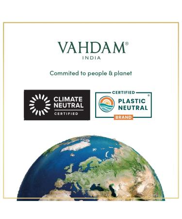 Premium Vahdam Ginger Mint Green Tea - 100 Loose Leaf Bags | Authentic Indian Tea | Hot & Cold Brew - Buy Online on GoSupps.com