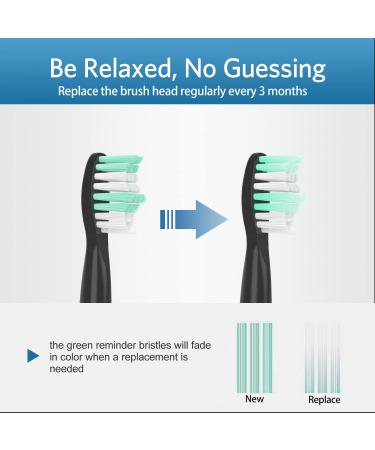 8 Pack Fairywill Electric Toothbrush Replacement Heads | Compatible with FW-E11 FW-507/508/551/FW908/FW910/917/949/958/959/FW610/FW659/FW719 FW-D1/FW-D3/FW-D7/D8 - Buy Online on GoSupps.com