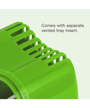 Annhua Dental Storage Container with Flushable Basket Denture Boxes Denture Retainer Case for Soaking and Cleaning Dentures Home & Travel Use(Light Green) - Buy Online on GoSupps.com