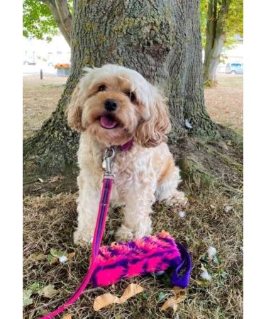 Church Products UK Dog Training Treat Bag Obedience Retrieve Furry Long Prey Dummy With Sewn In Squeaker 7" x 4" In (Orange) - Buy Online on GoSupps.com