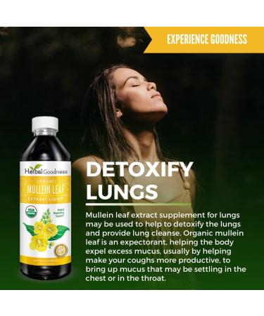 Mullein Leaf Extract 12oz Liquid - Lung & Respiratory Support Cleanse and Detox -Immune Support - Vegan Supplement - Organic - Herbal Goodness - Made in USA(Pack of 12) - Buy Online on GoSupps.com